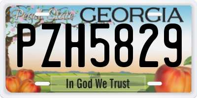 GA license plate PZH5829