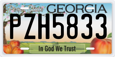 GA license plate PZH5833