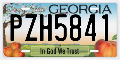 GA license plate PZH5841