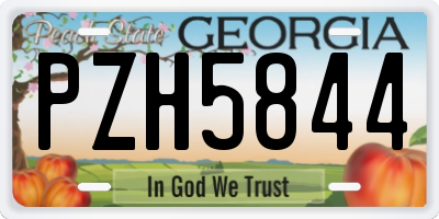 GA license plate PZH5844