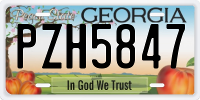 GA license plate PZH5847