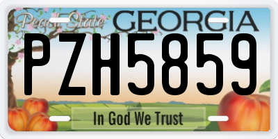 GA license plate PZH5859