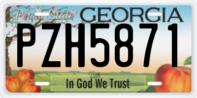 GA license plate PZH5871