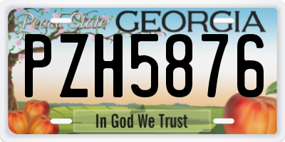 GA license plate PZH5876