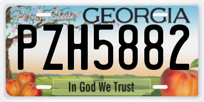 GA license plate PZH5882