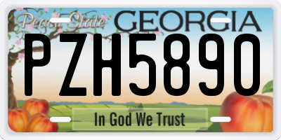 GA license plate PZH5890