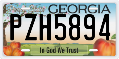 GA license plate PZH5894