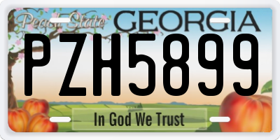 GA license plate PZH5899