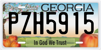 GA license plate PZH5915