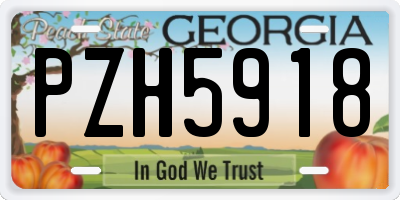 GA license plate PZH5918