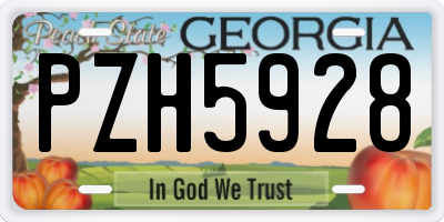 GA license plate PZH5928