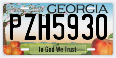 GA license plate PZH5930