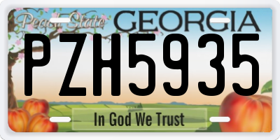 GA license plate PZH5935