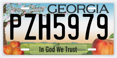 GA license plate PZH5979