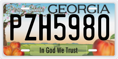 GA license plate PZH5980