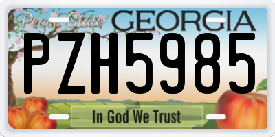 GA license plate PZH5985