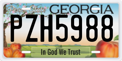GA license plate PZH5988