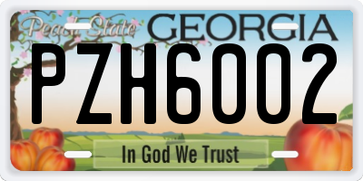 GA license plate PZH6002