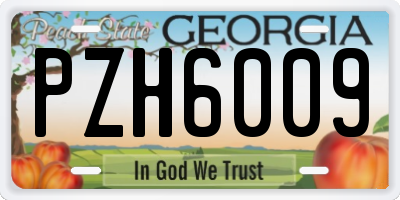 GA license plate PZH6009