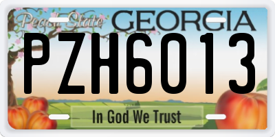 GA license plate PZH6013
