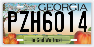 GA license plate PZH6014