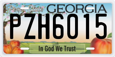 GA license plate PZH6015
