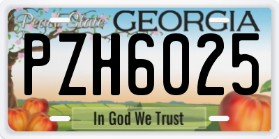 GA license plate PZH6025