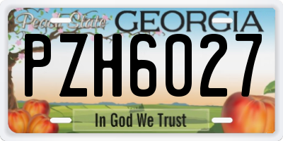 GA license plate PZH6027