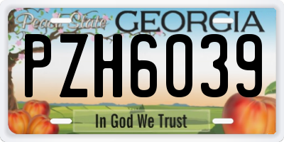 GA license plate PZH6039
