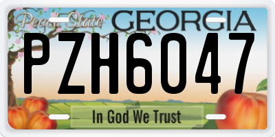 GA license plate PZH6047