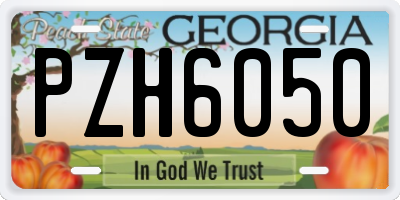 GA license plate PZH6050