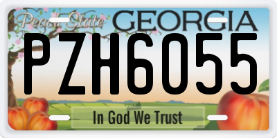 GA license plate PZH6055
