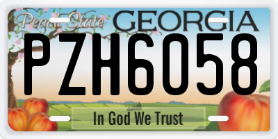 GA license plate PZH6058