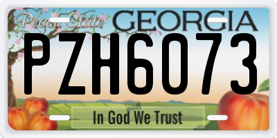 GA license plate PZH6073