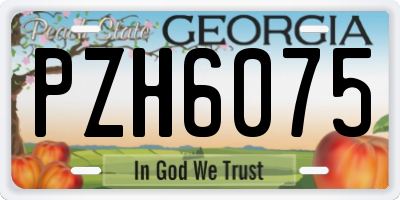 GA license plate PZH6075