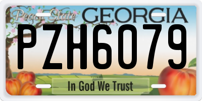 GA license plate PZH6079