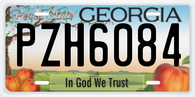 GA license plate PZH6084
