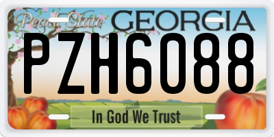 GA license plate PZH6088