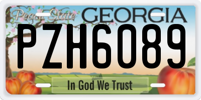 GA license plate PZH6089