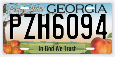 GA license plate PZH6094