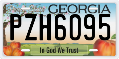 GA license plate PZH6095
