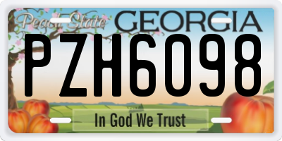 GA license plate PZH6098