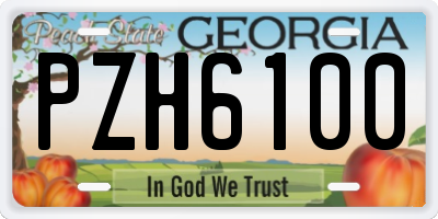 GA license plate PZH6100