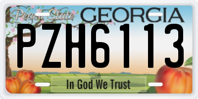 GA license plate PZH6113