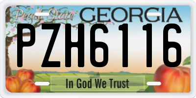 GA license plate PZH6116