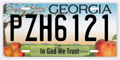 GA license plate PZH6121