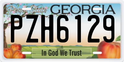 GA license plate PZH6129