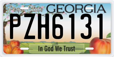 GA license plate PZH6131
