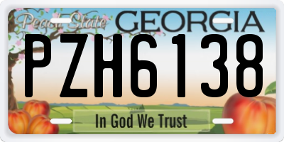 GA license plate PZH6138