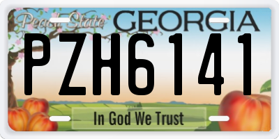 GA license plate PZH6141